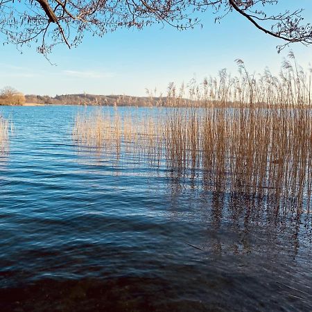 Ponitz am See Landhaus Am See App. 2 מראה חיצוני תמונה