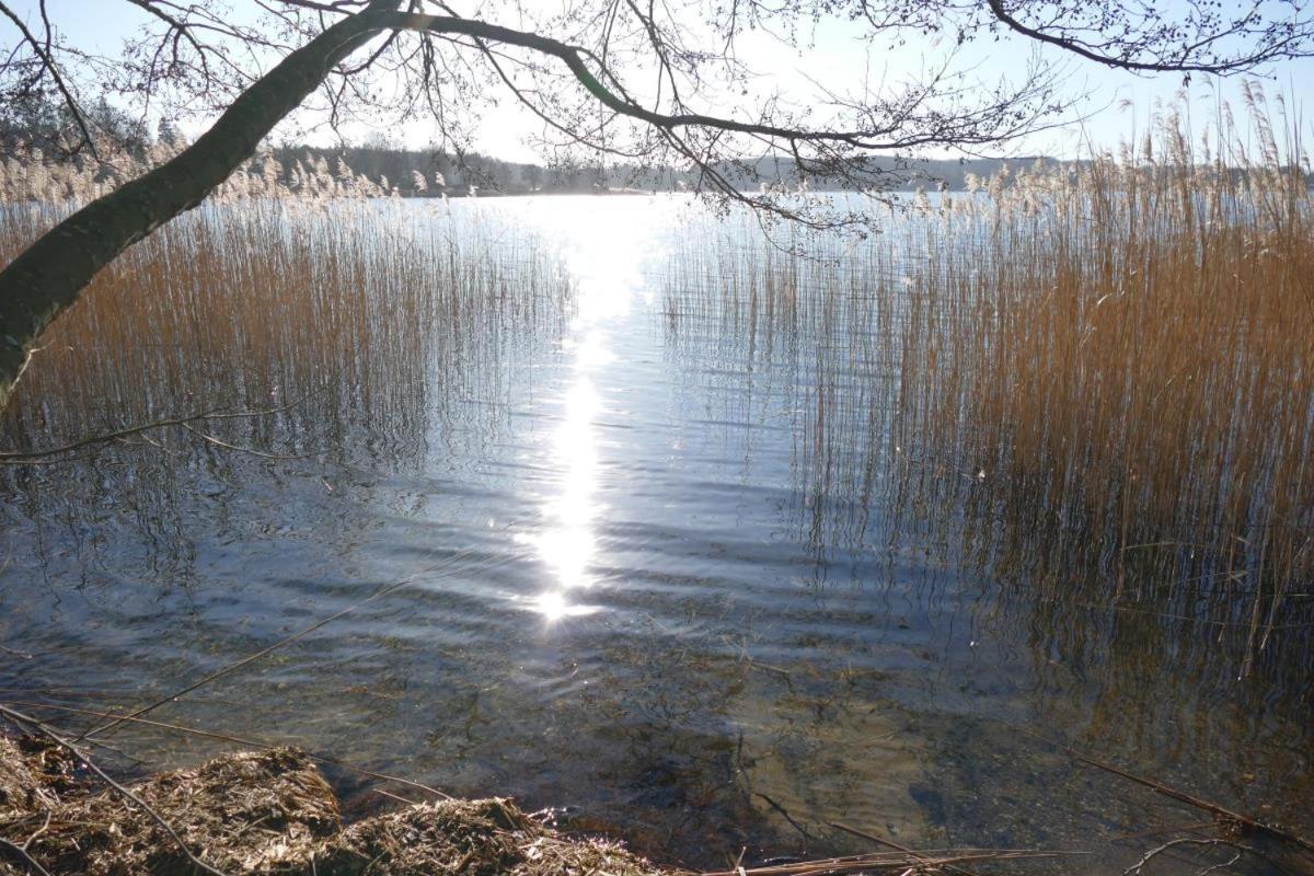 Ponitz am See Landhaus Am See App. 2 מראה חיצוני תמונה